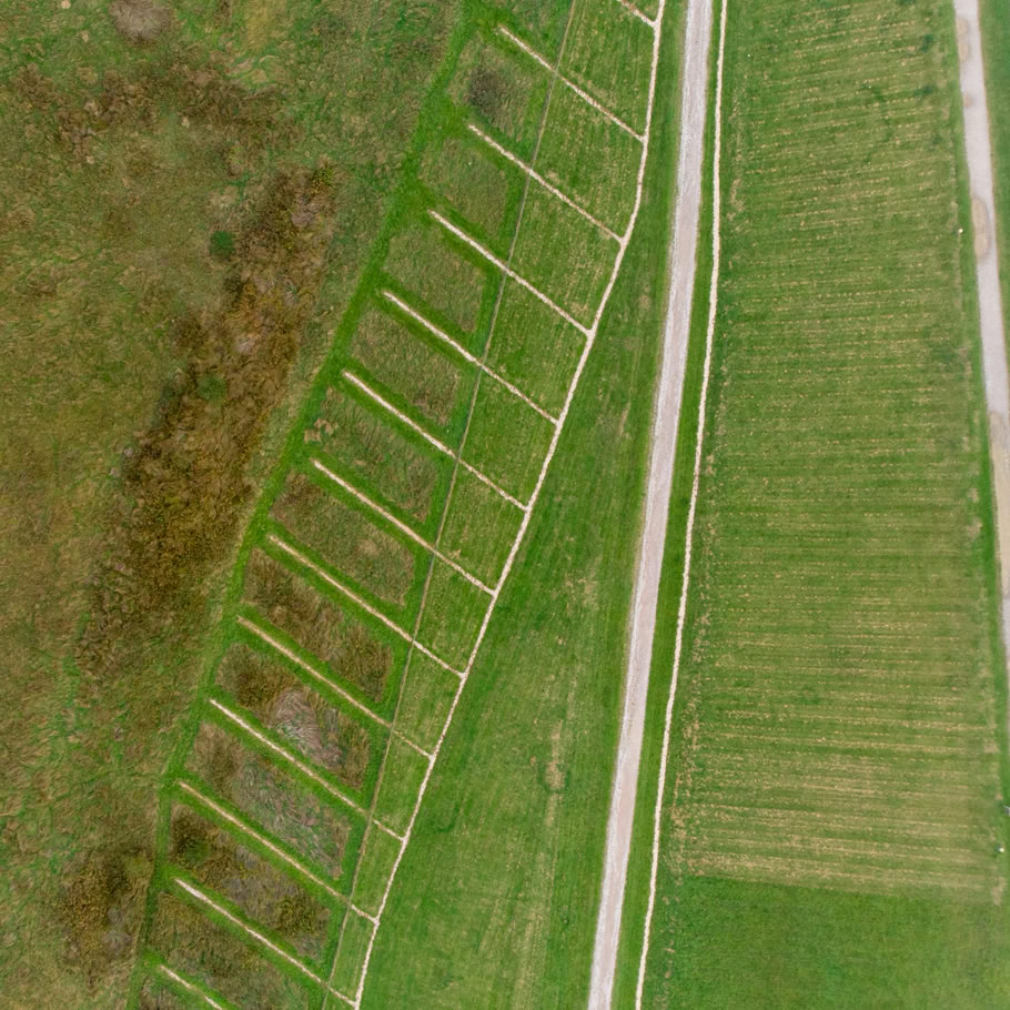 Drone shot capturing patterned green fields with pathways from above.