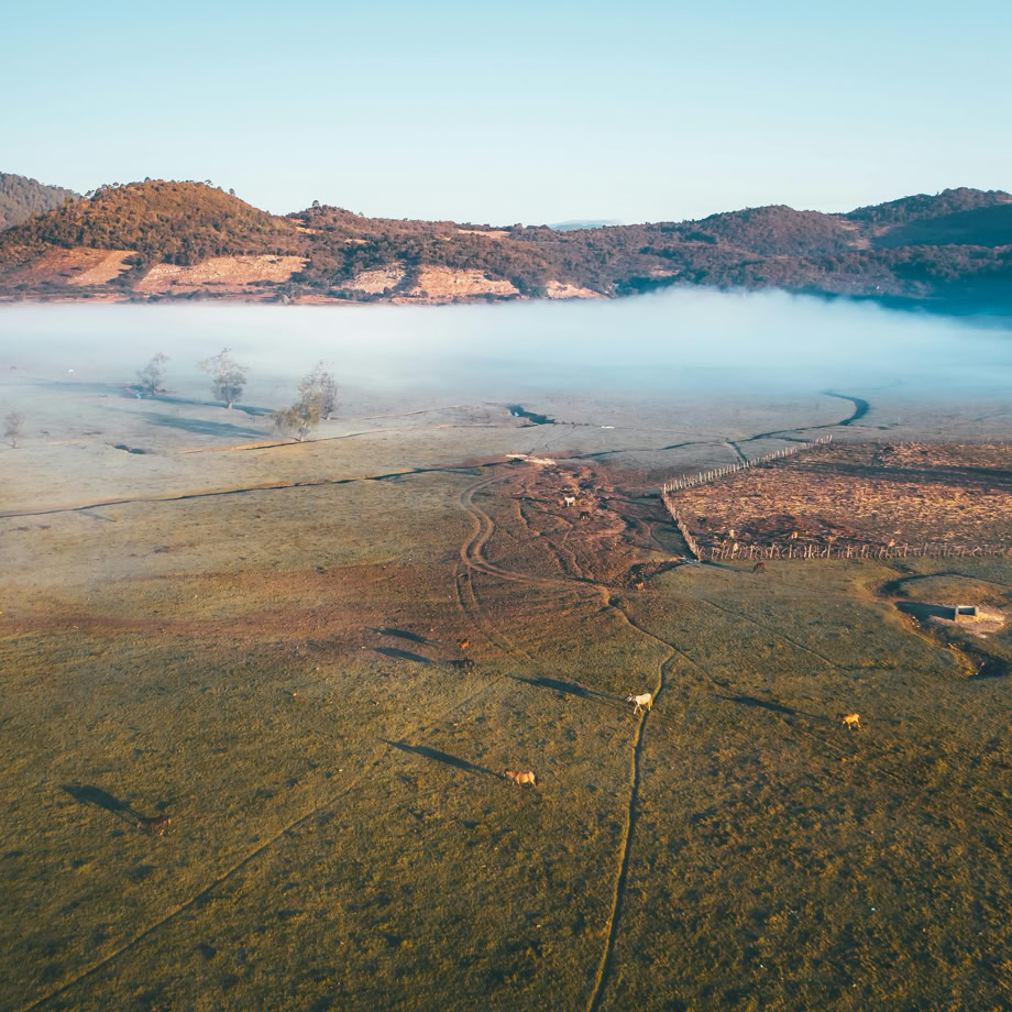 Discover the serene beauty of mist-covered farmland framed by distant mountains at sunrise.