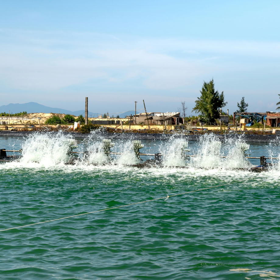 A high-powered water aerator in action at an aquaculture facility, creating a vibrant splash.