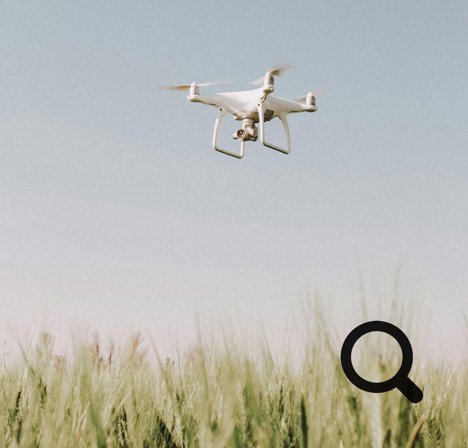 A white drone flying over a lush green wheat field under a clear blue sky.